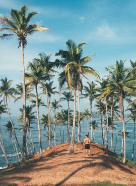 Southern Beaches